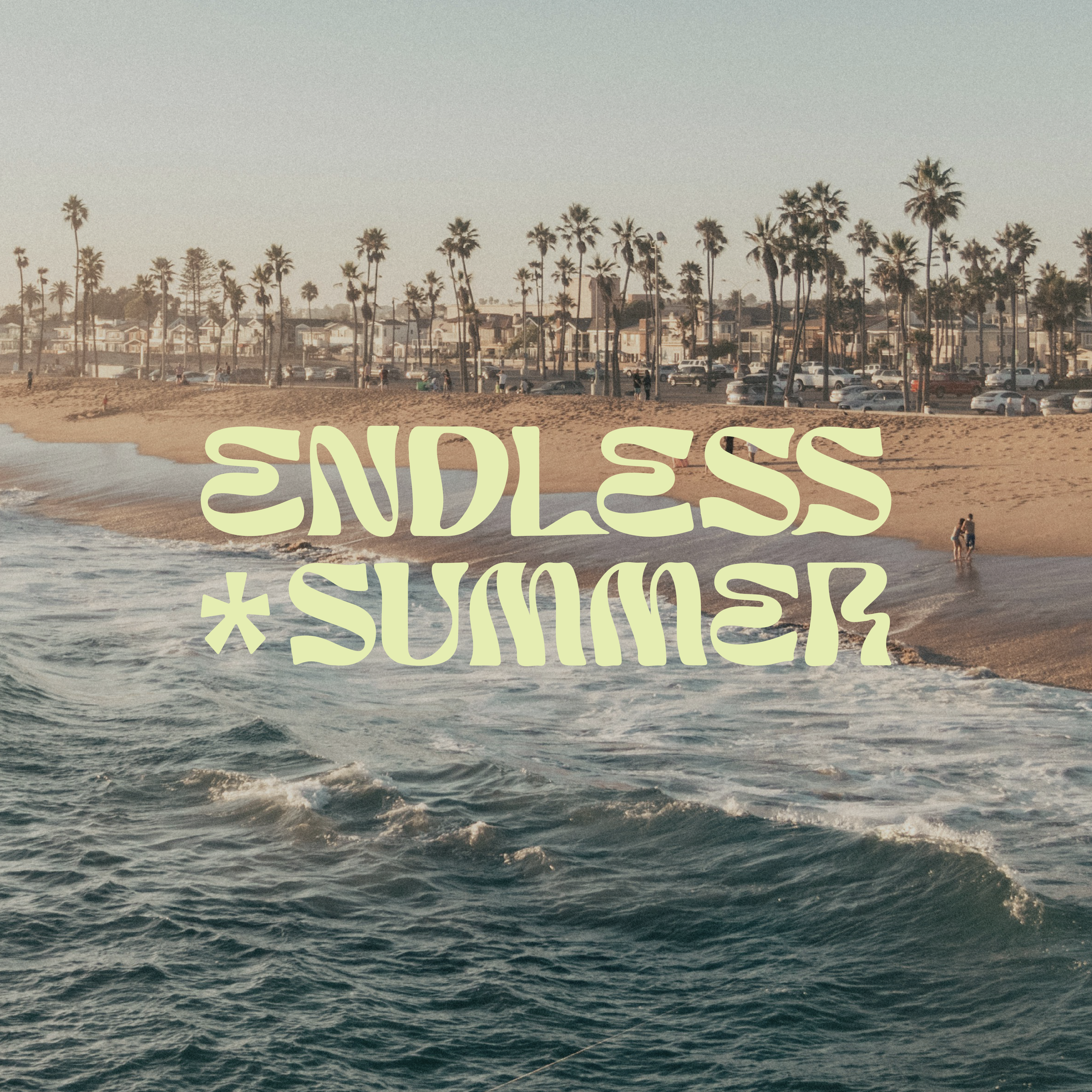 Endless Summer portfolio