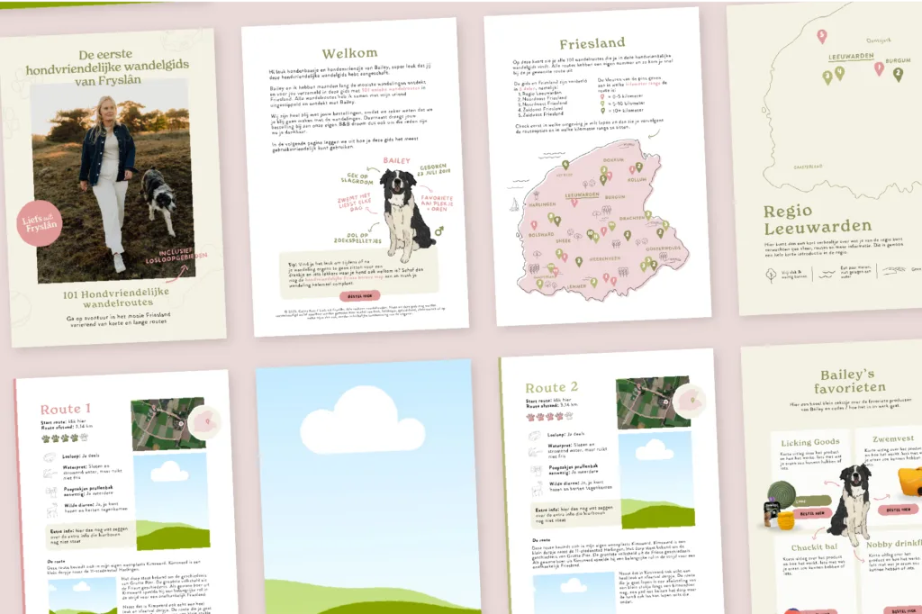 Gids gemaakt in Canva